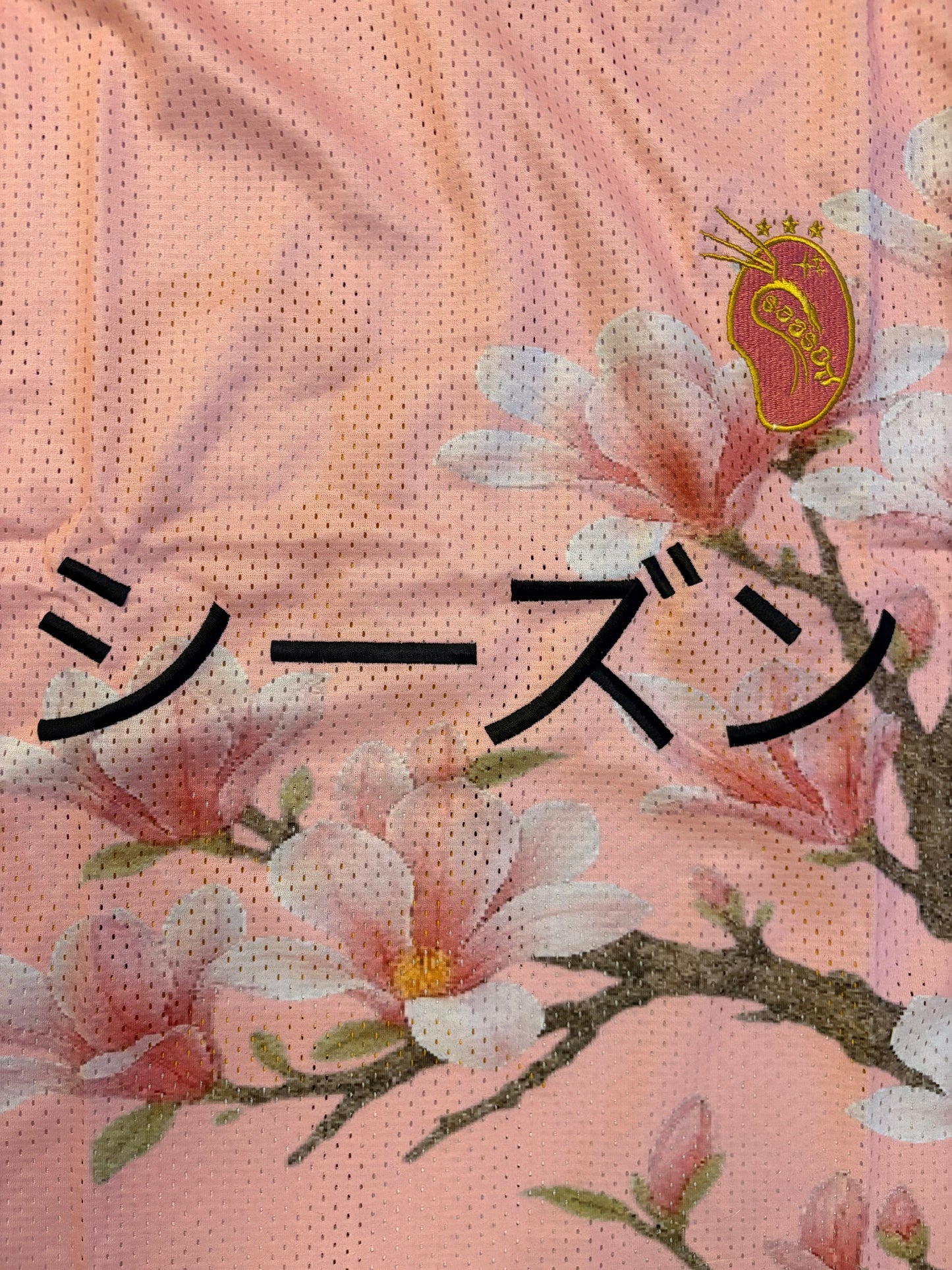 JAPANESE JERSEY